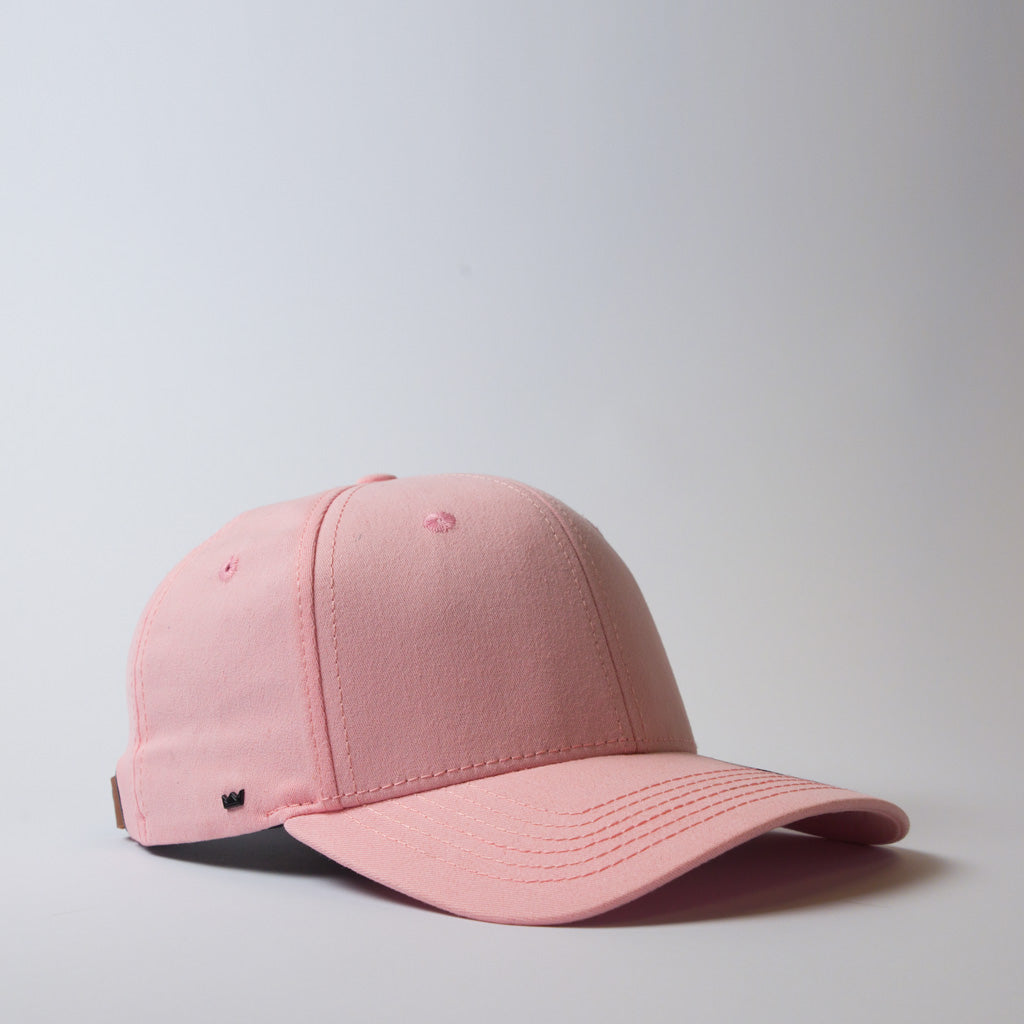 The Old School 6 Panel Adjustable (U15610)