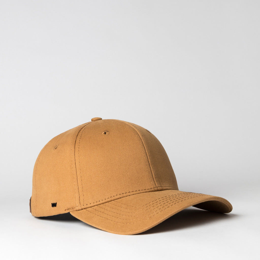 The Old School 6 Panel Adjustable (U15610)