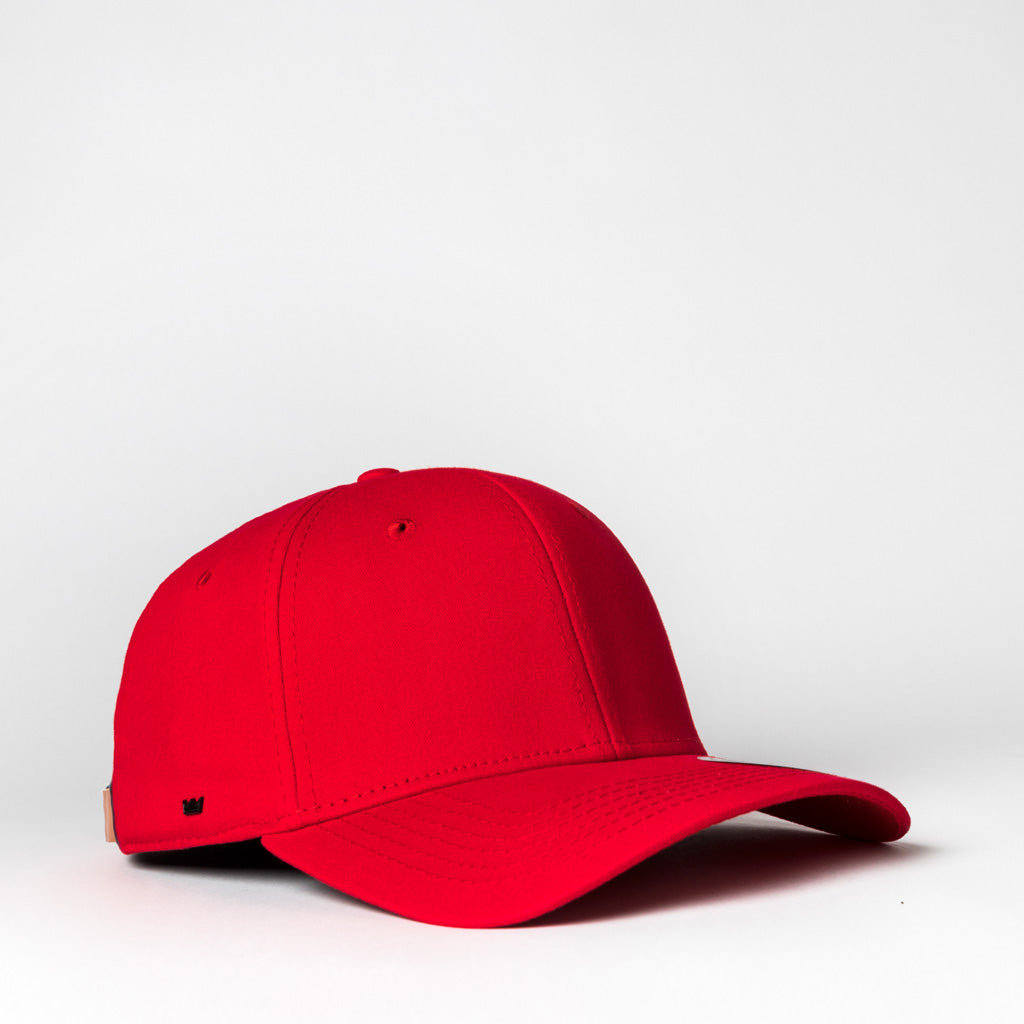 The Old School 6 Panel Adjustable (U15610)